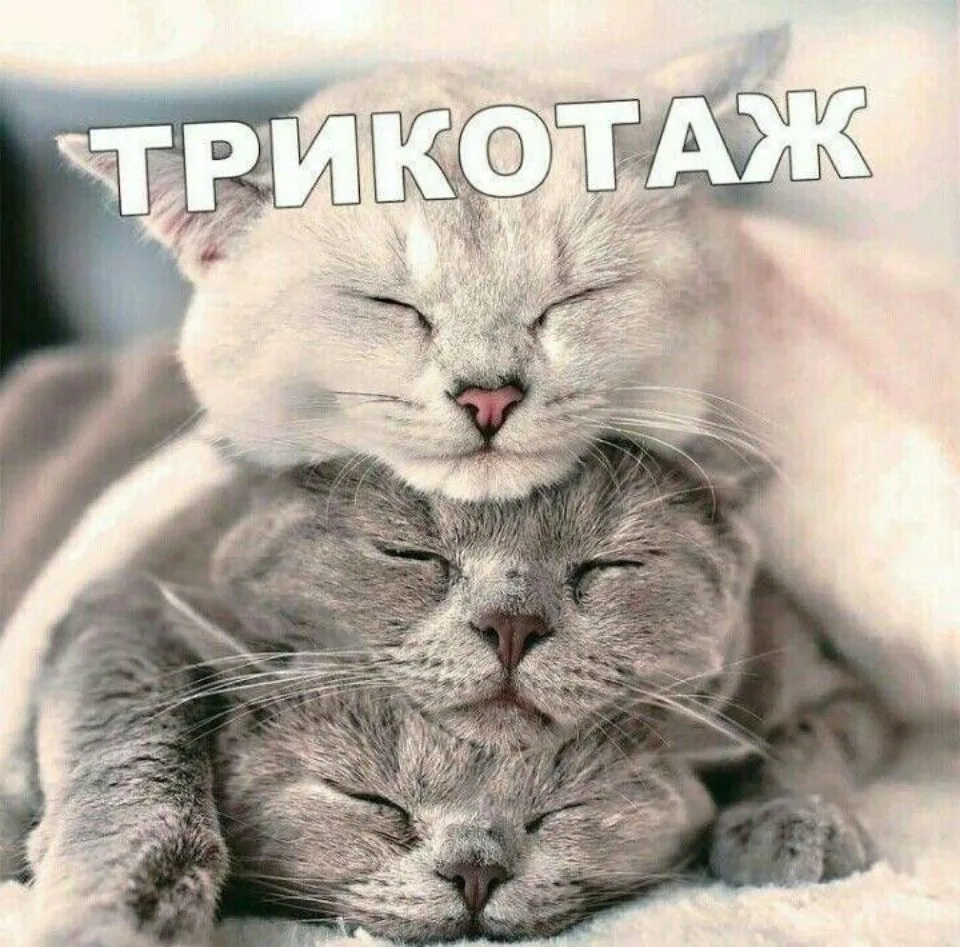 Трикотаж🐈🛗