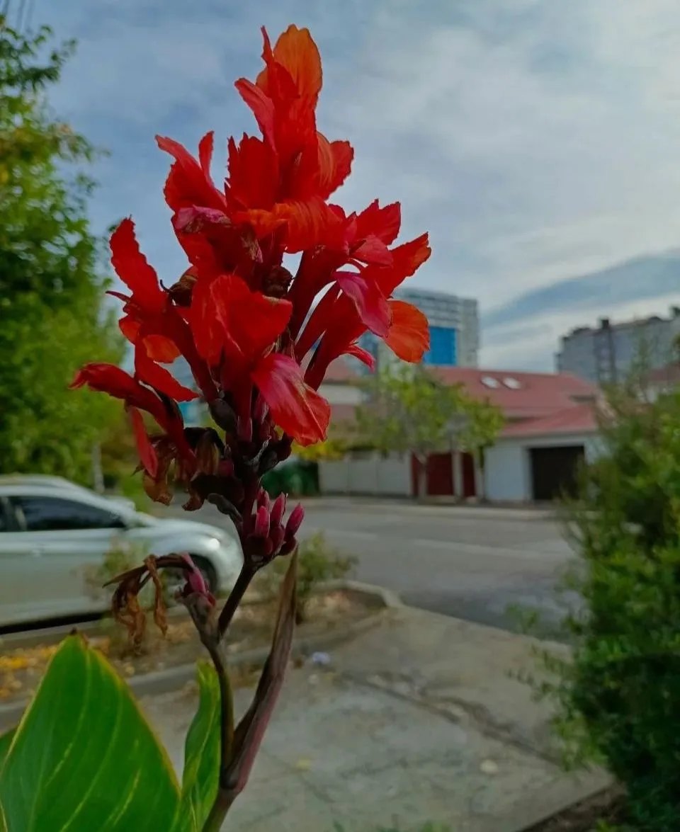Как вам погода в Анапе сегодня? 🌦️