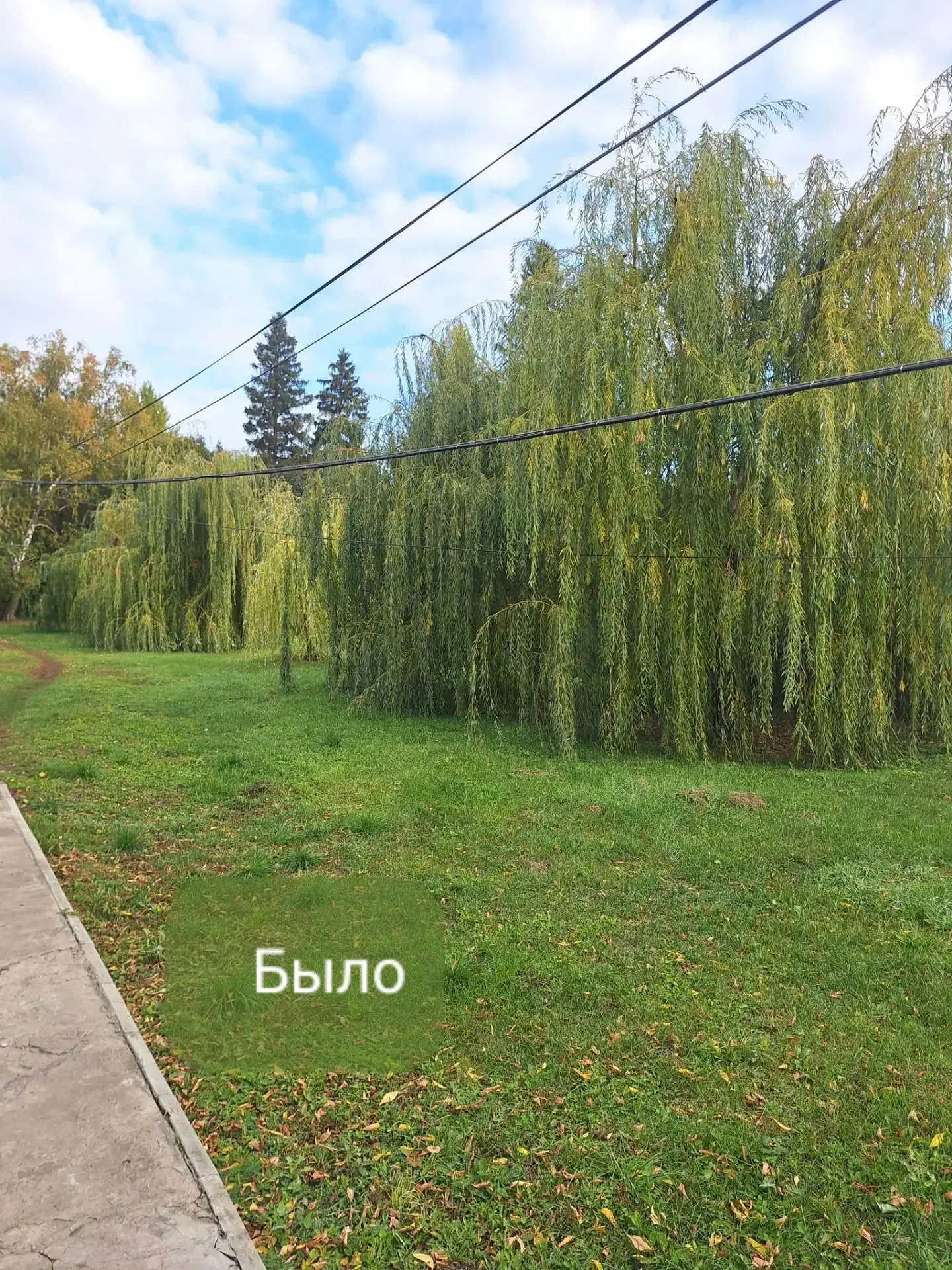 🌿 Продолжается уборка парковой зоны нашего санатория!