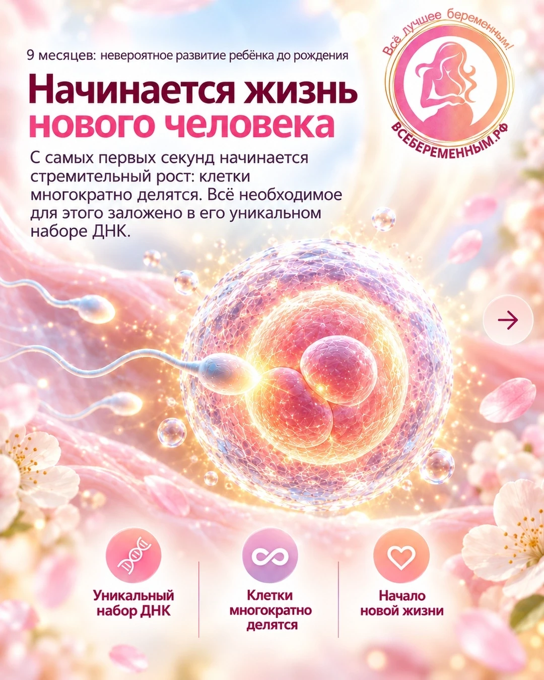 9 месяцев пути: невероятное развитие ребёнка до рождения!