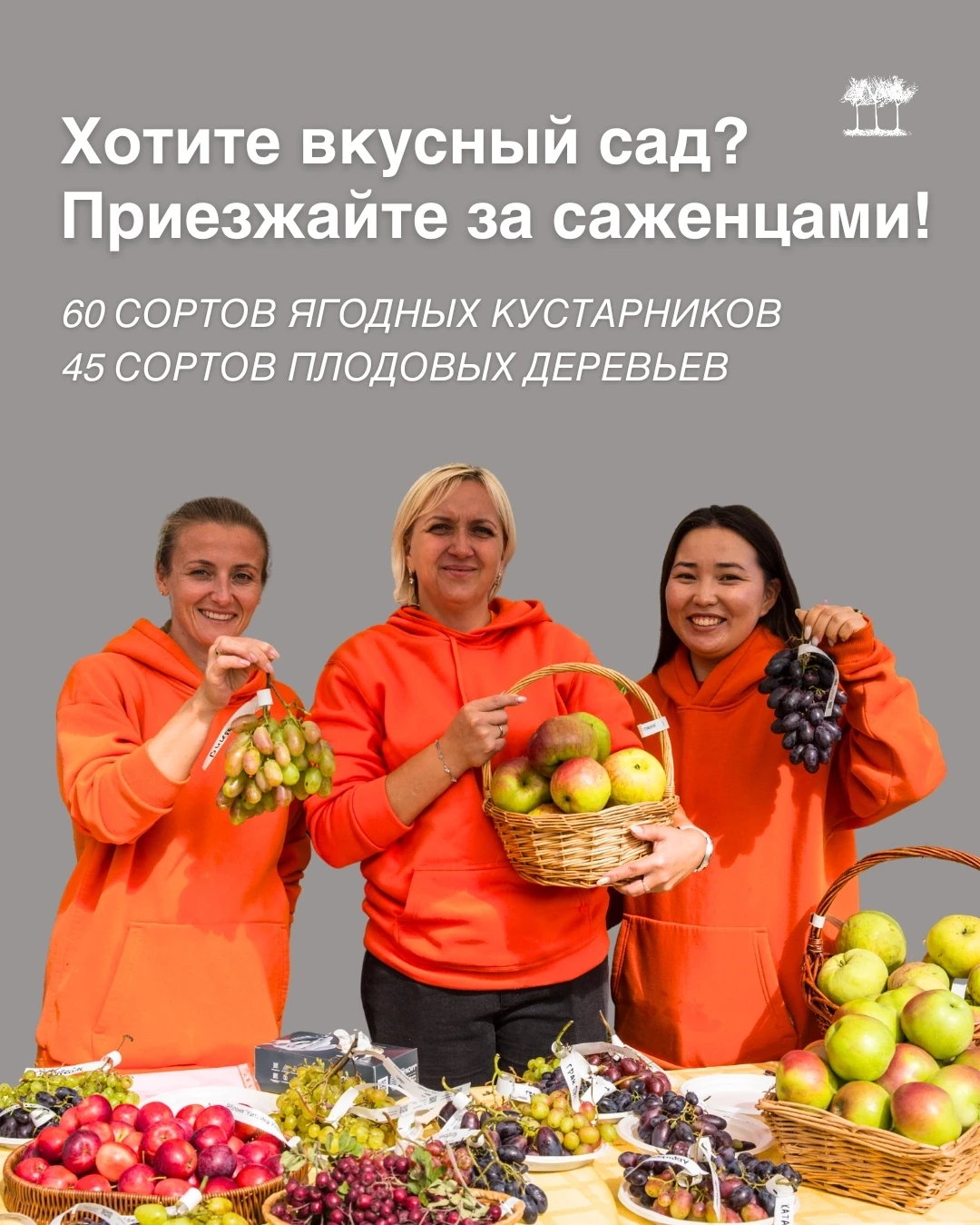 Давно мечтали о своих яблоках, грушах, жимолости, смородине и крыжовнике? Пора воплотит...
