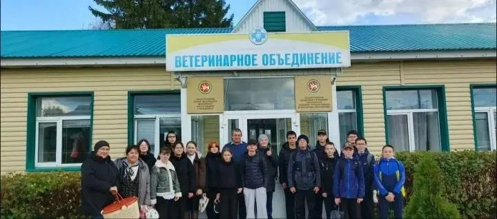 🐑 Аксубаевские школьники увидели, как ветеринары готовят животных к операциям