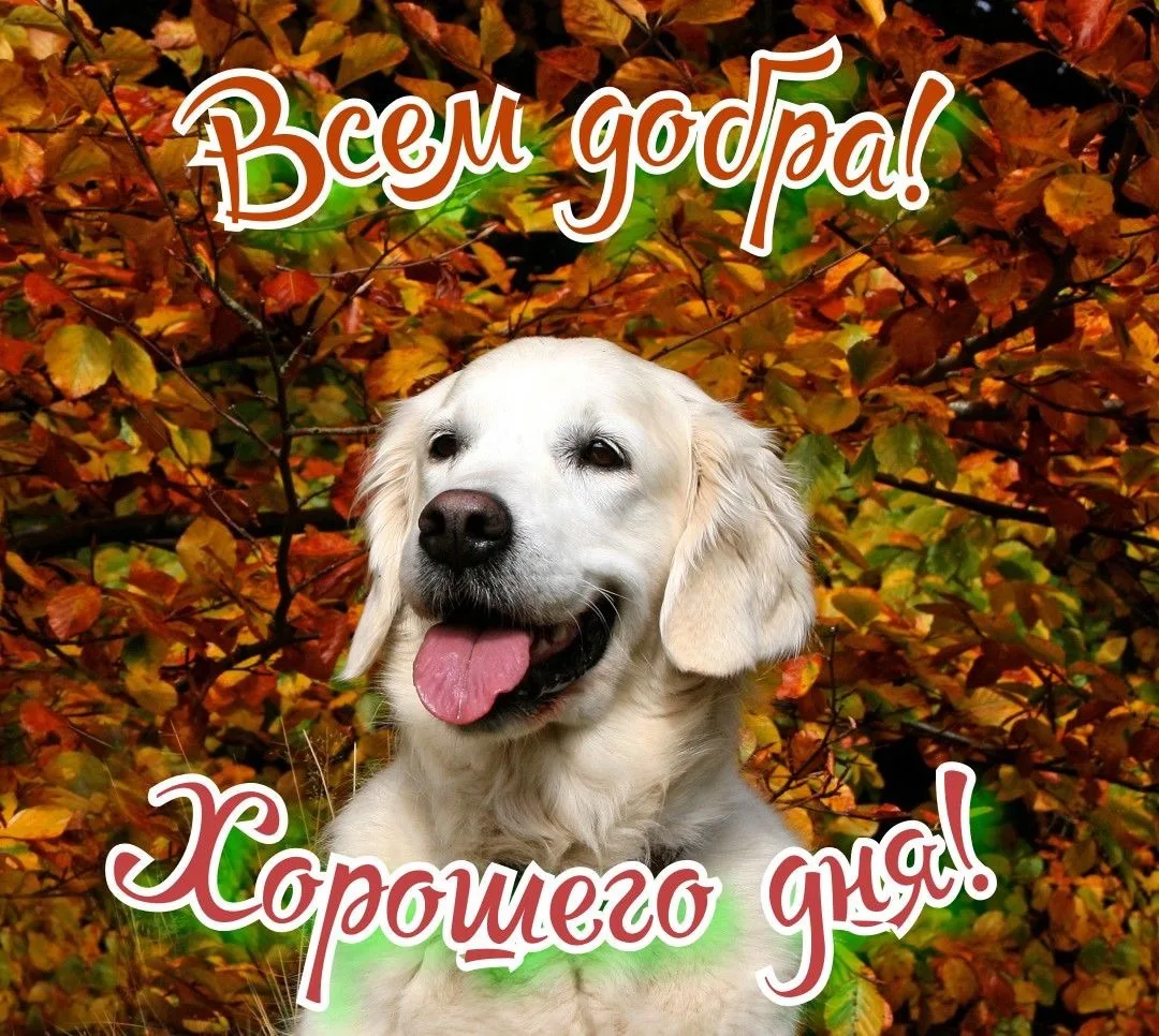 КРАСИВЫЕ ОТКРЫТКИ ТУТ💖