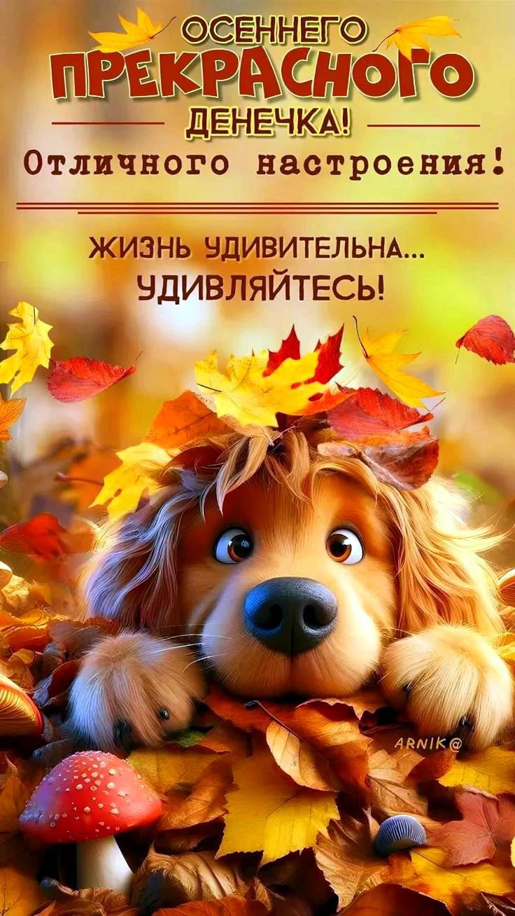 Милые открытки 😊 подписаться
