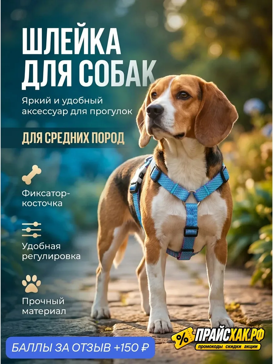 🔗 https://market.yandex.ru/cc/BFoSrg