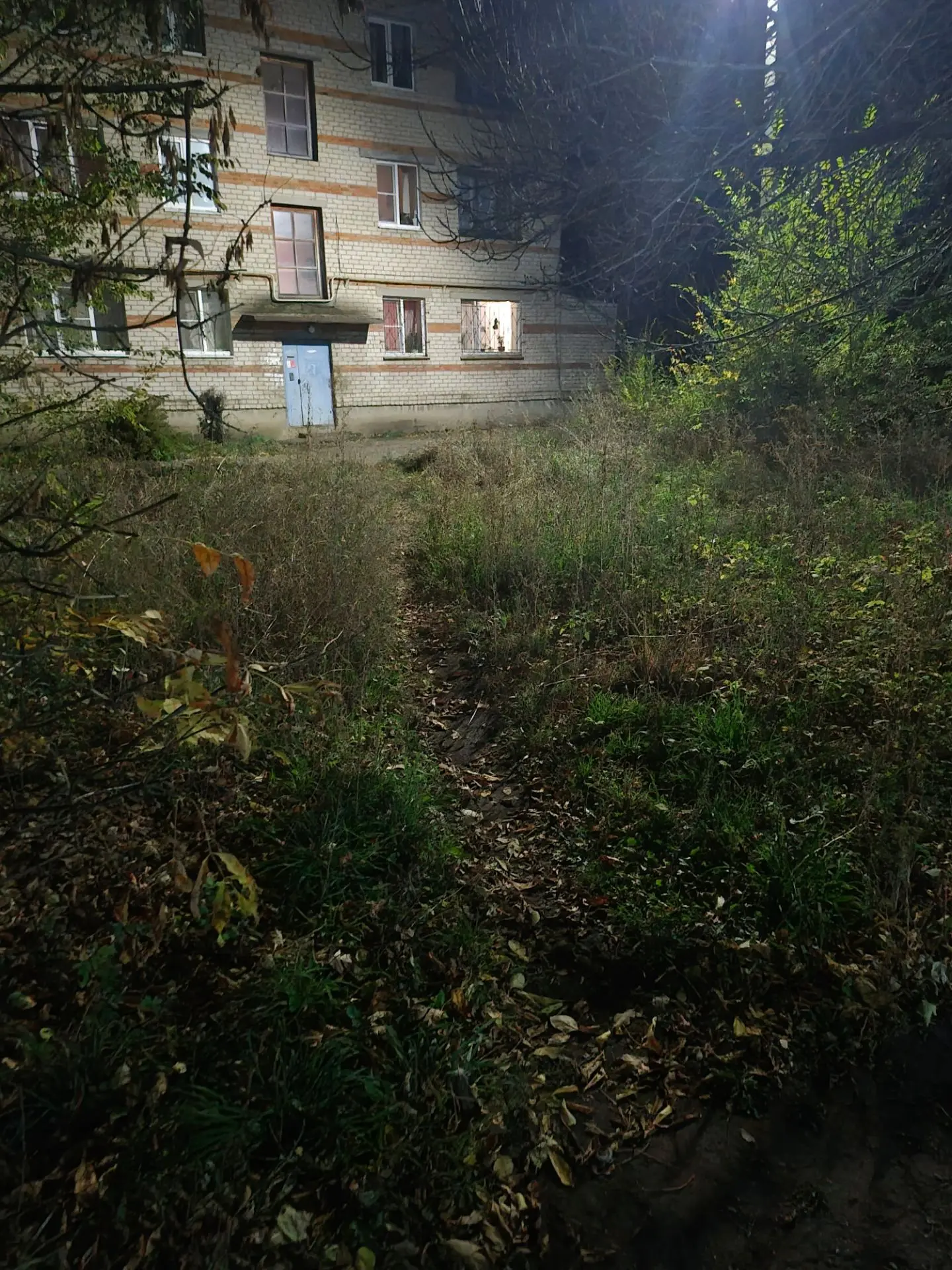 Наконец-то осень🍂  хоть теперь к дому пройти можно, когда трава увяла