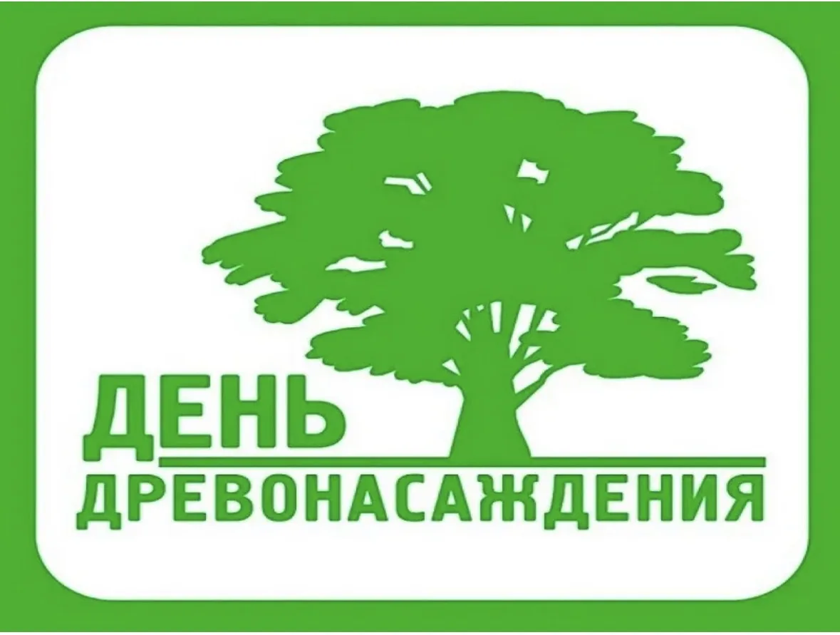 Уважаемые жители Мишкинского сельского поселения! 🌲🌳🌲