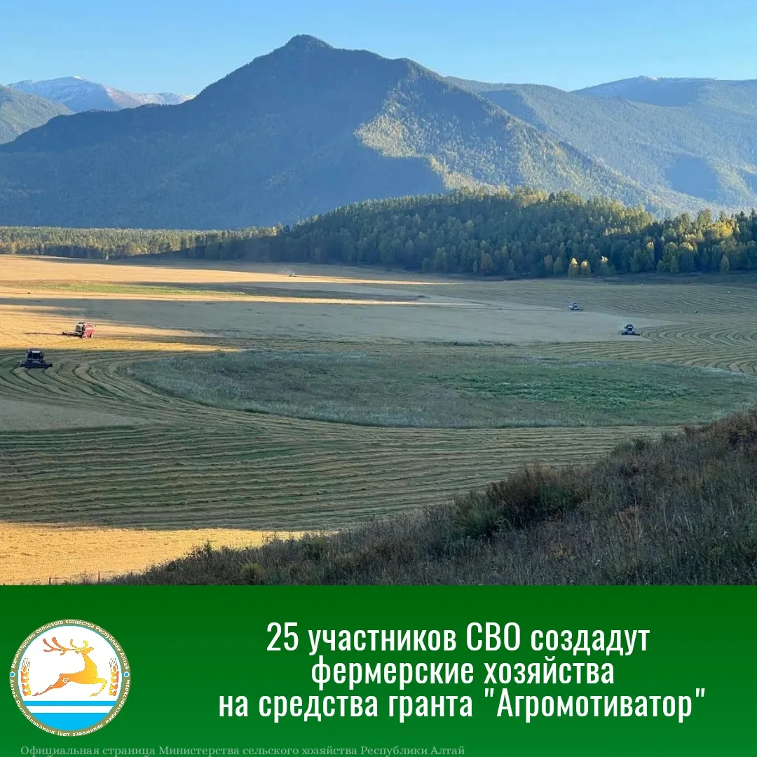 Завершен отбор по предоставлению грантов в форме субсидии на реализацию проектов создан...
