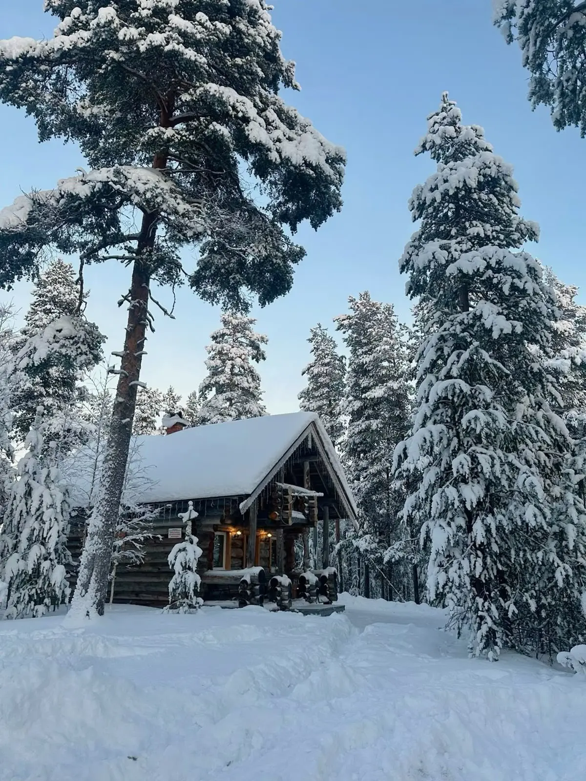🎄 НОВЫЙ ГОД В РОССИИ: ГДЕ ВСТРЕТИТЬ И СКОЛЬКО СТОИТ?