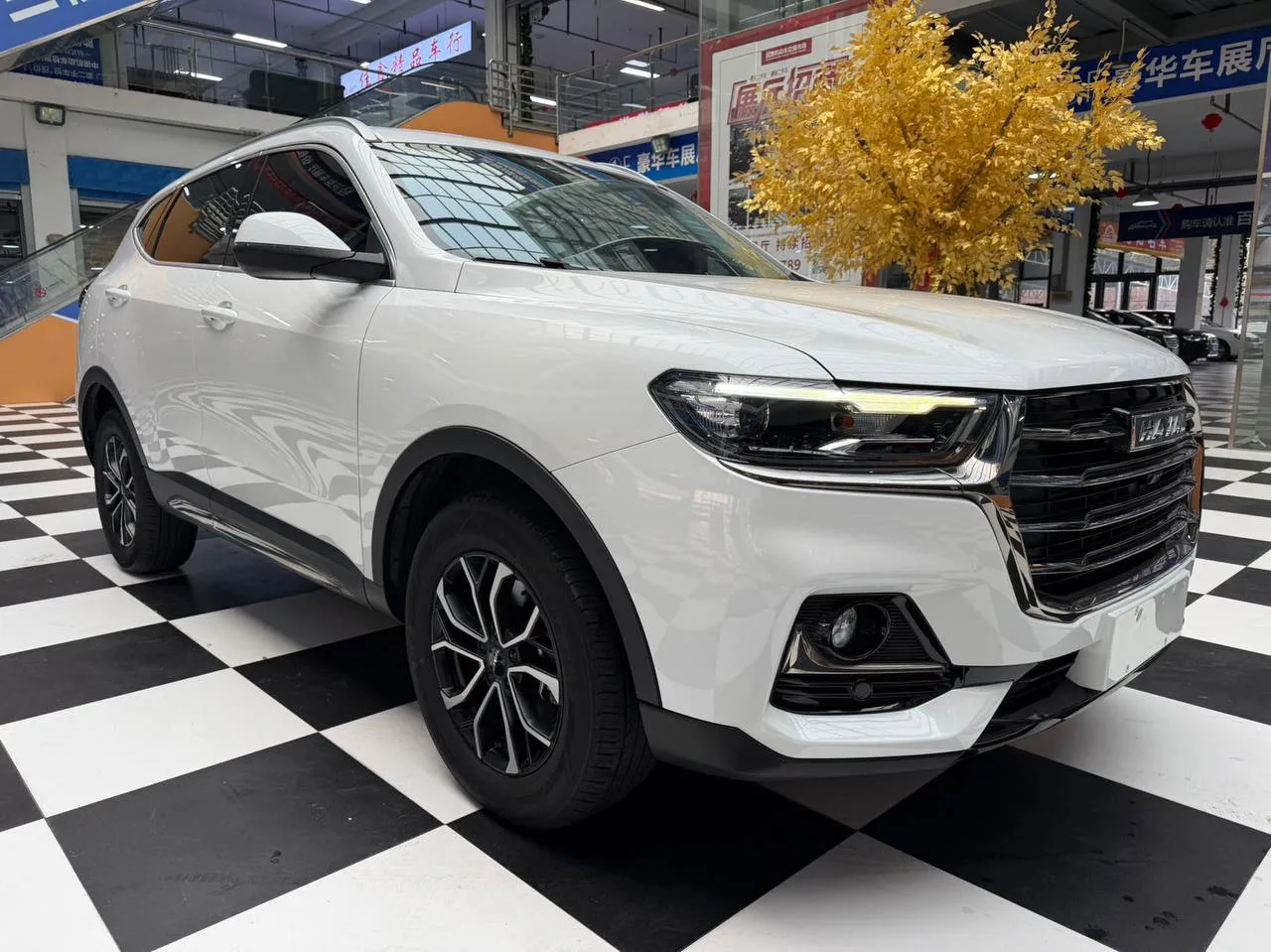 Haval H6