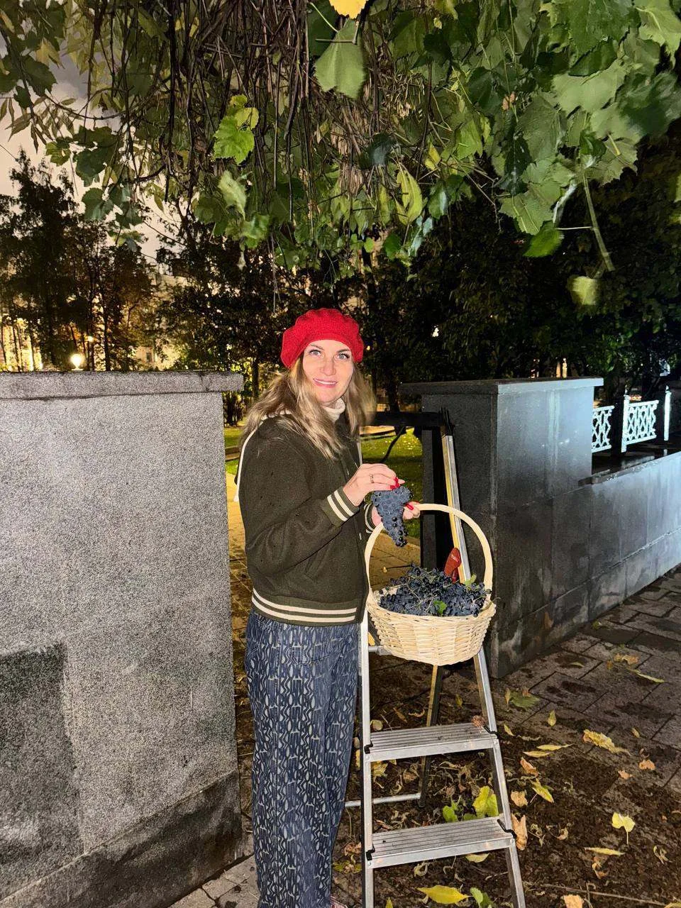 🍇Москва — город очень необычный, туда даже свои виноградники есть. В этом году москвич...