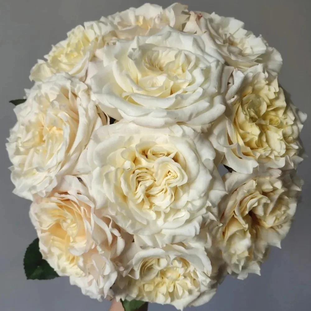 Продолжим знакомство с новинками🤍🌹