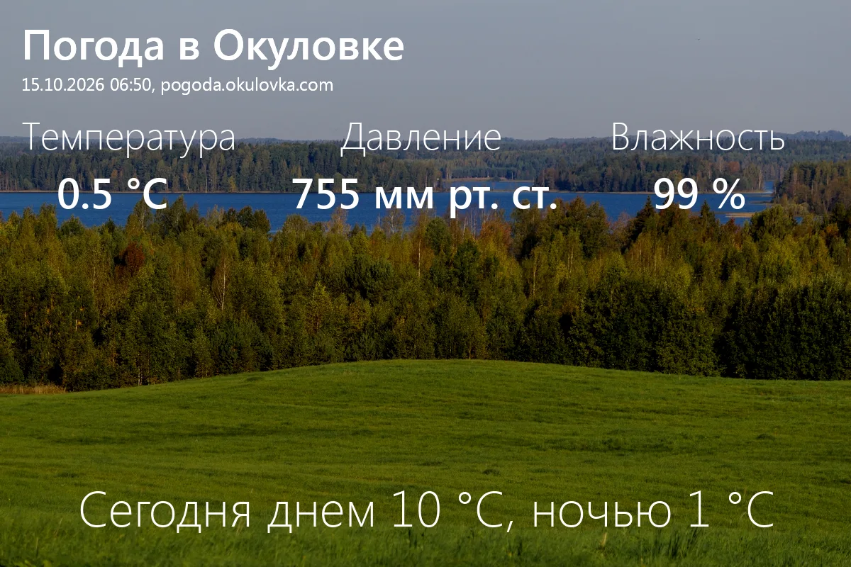 Доброе утро! Сейчас в Окуловке 0.5 °C, давление 755 мм.рт.ст., влажность 99%.