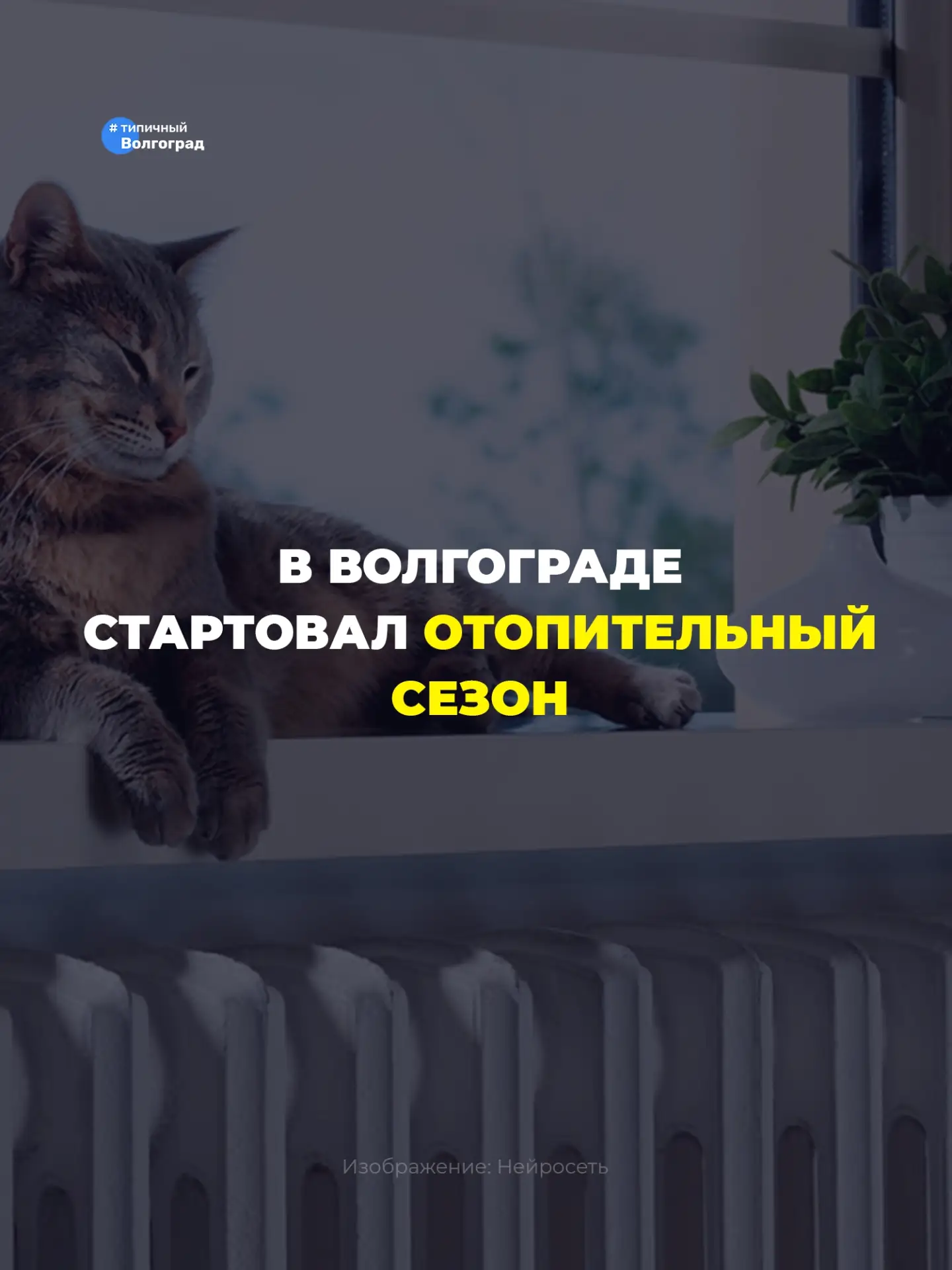 Ура! В Волгограде стартовал отопительный сезон! 😎