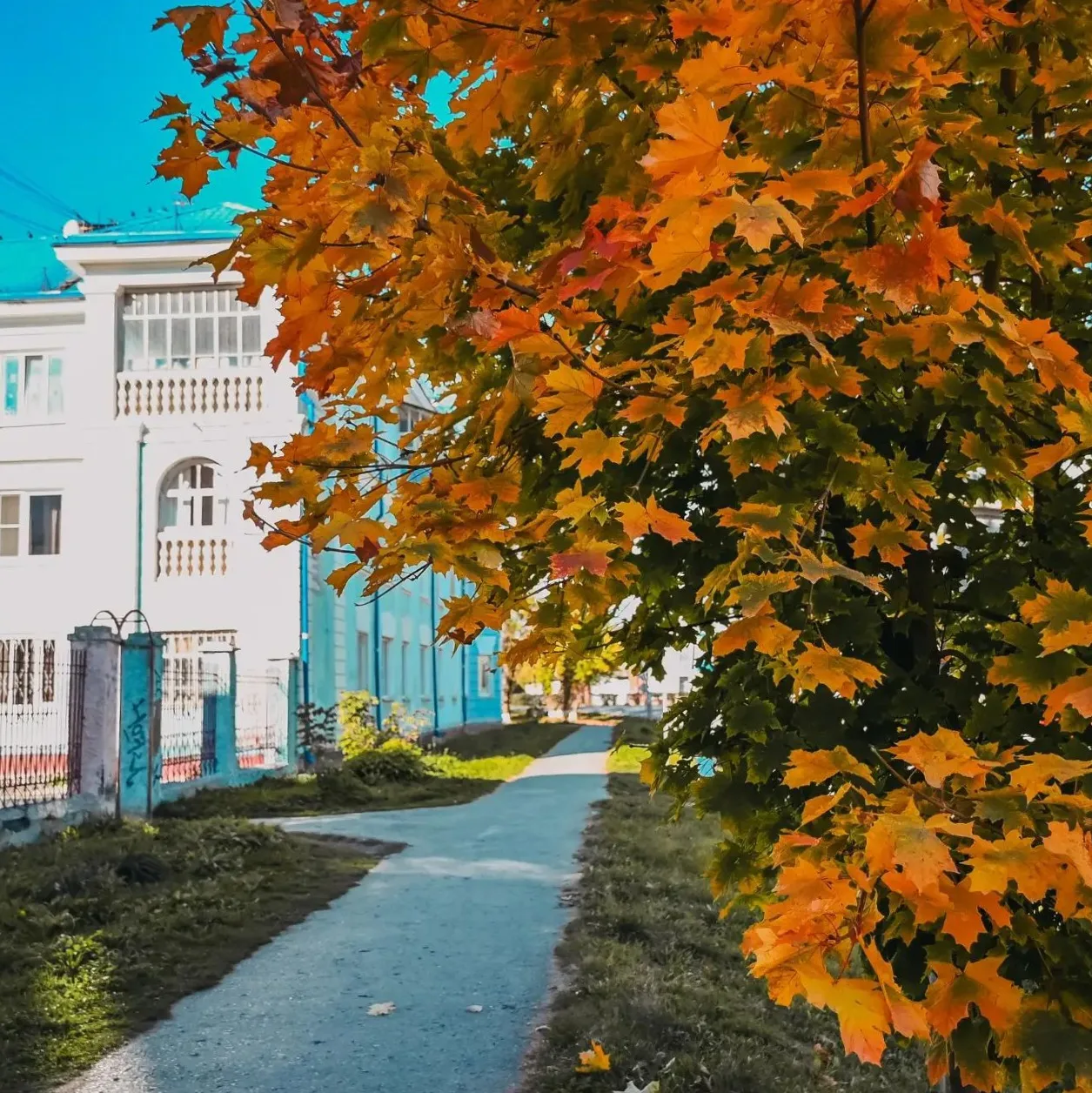 🌞 Тёплая погода в ближайшие дни: наслаждаемся осенью!