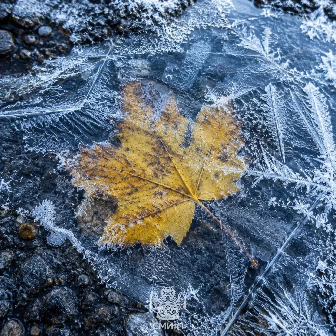 ​🥶 Похолодает до -2 °C в Самарской области