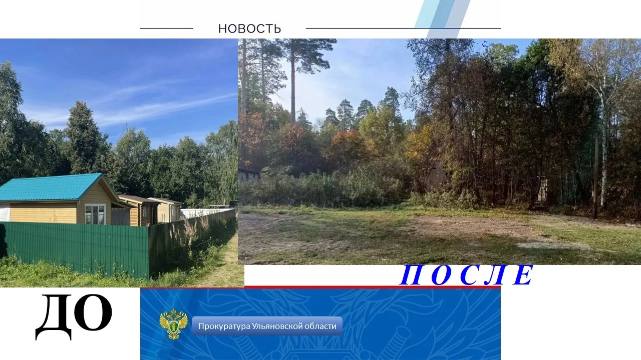 🚨 В результате вмешательства прокуратуры Николаевского района снесены 5 строений, неза...