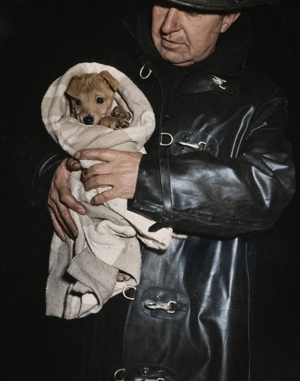 Спасенный из огня щенок. США, Нью-Йорк, 1944 год.