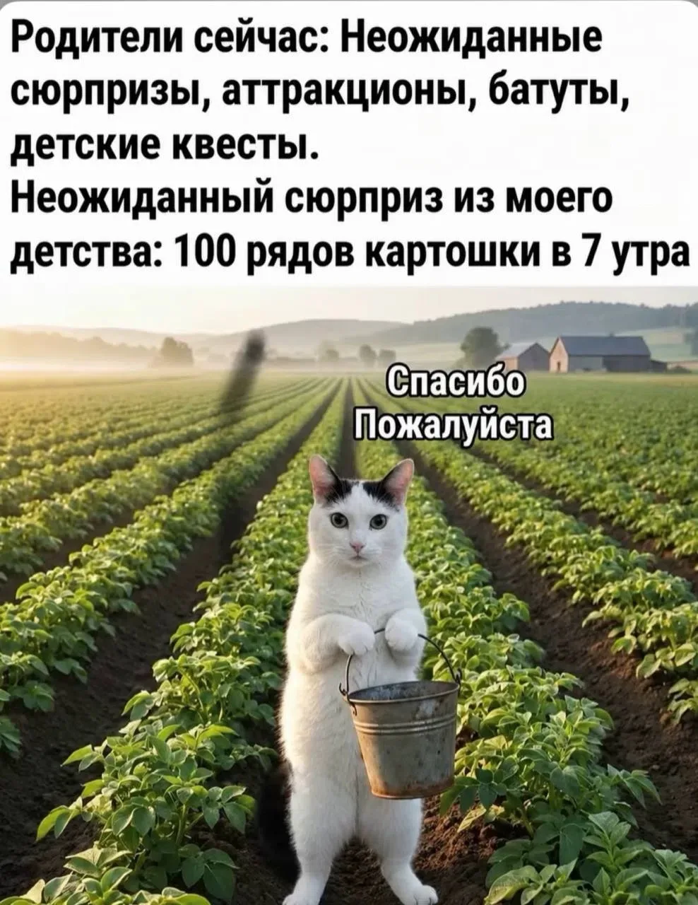 Поэтому у меня нет огорода 😂