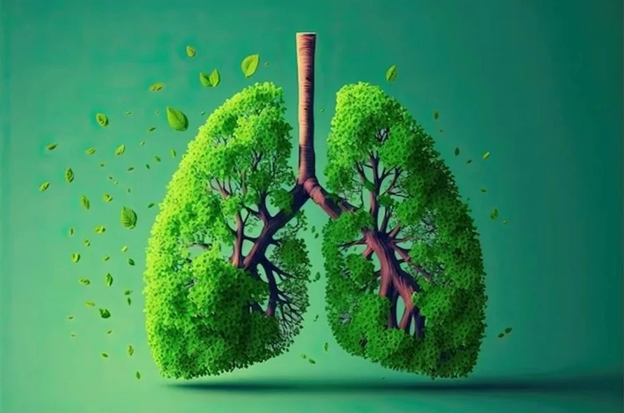 🌿Дышите свободно: как защитить лёгкие в любом возрасте🌿
