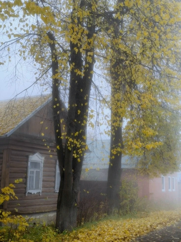 Укрывает утренним туманом