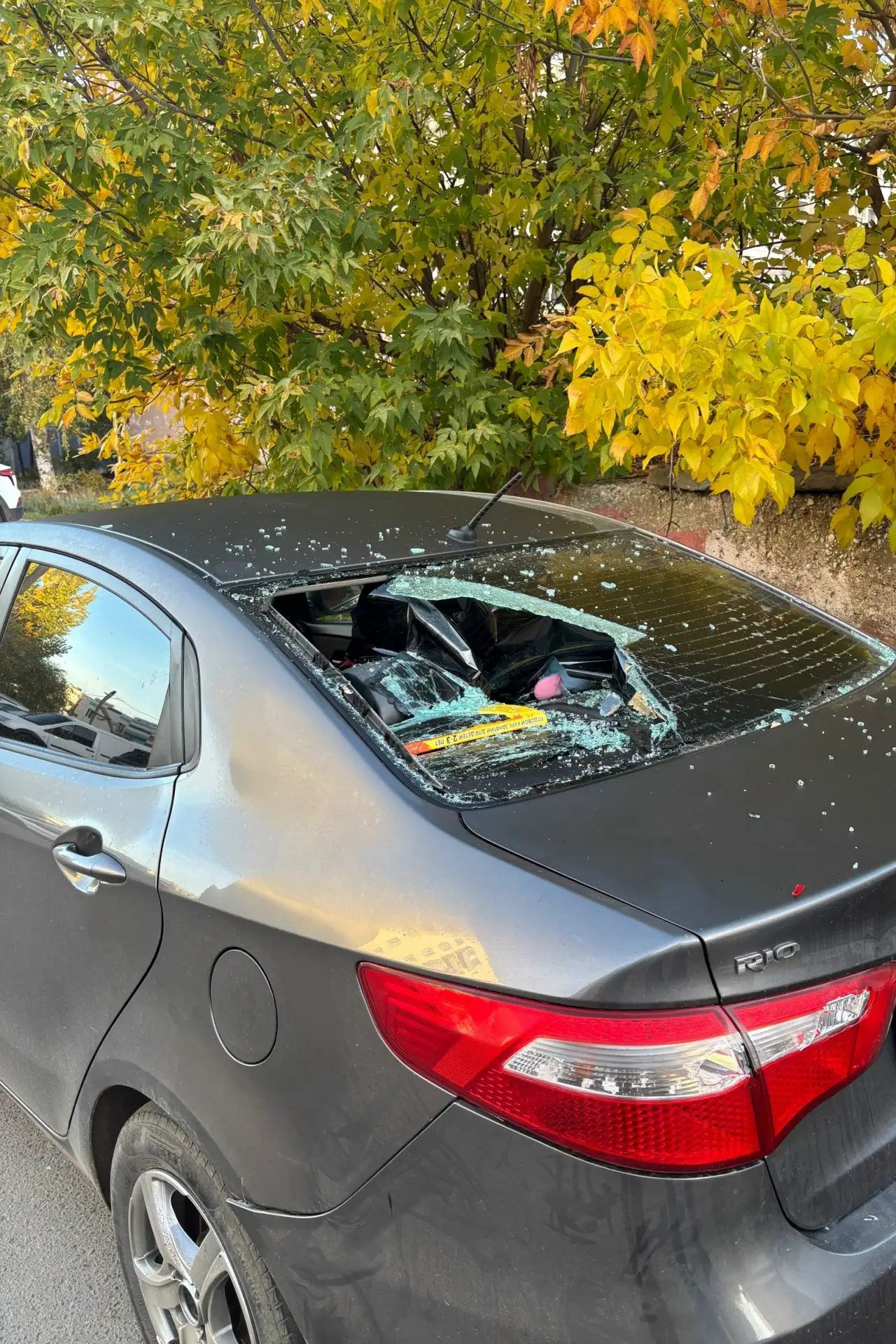 Товарищ велосипедист, который в ночь с 7 на 8 октября повредил автомобиль, стоящий у ма...