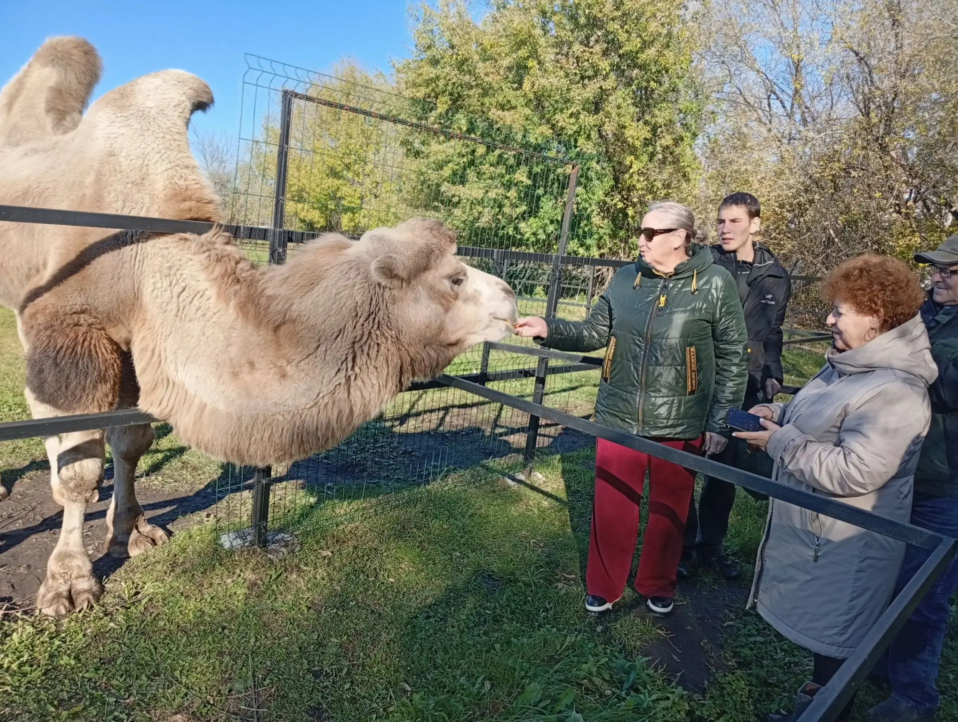 🐫Для сотрудников и подопечных дома-интерната провели благотворительную экскурсию по фе...