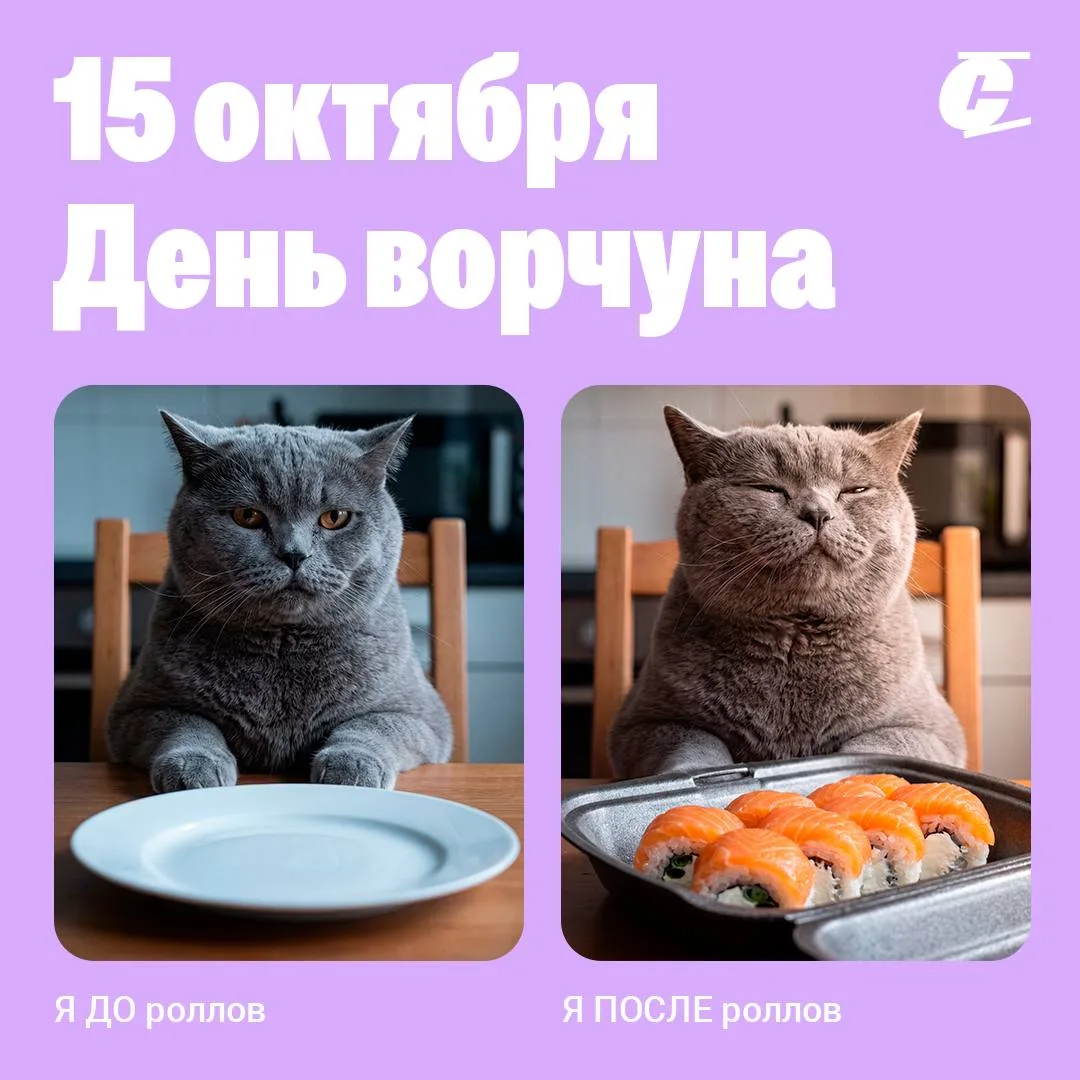 😾 Сегодня официальный повод немного поворчать!