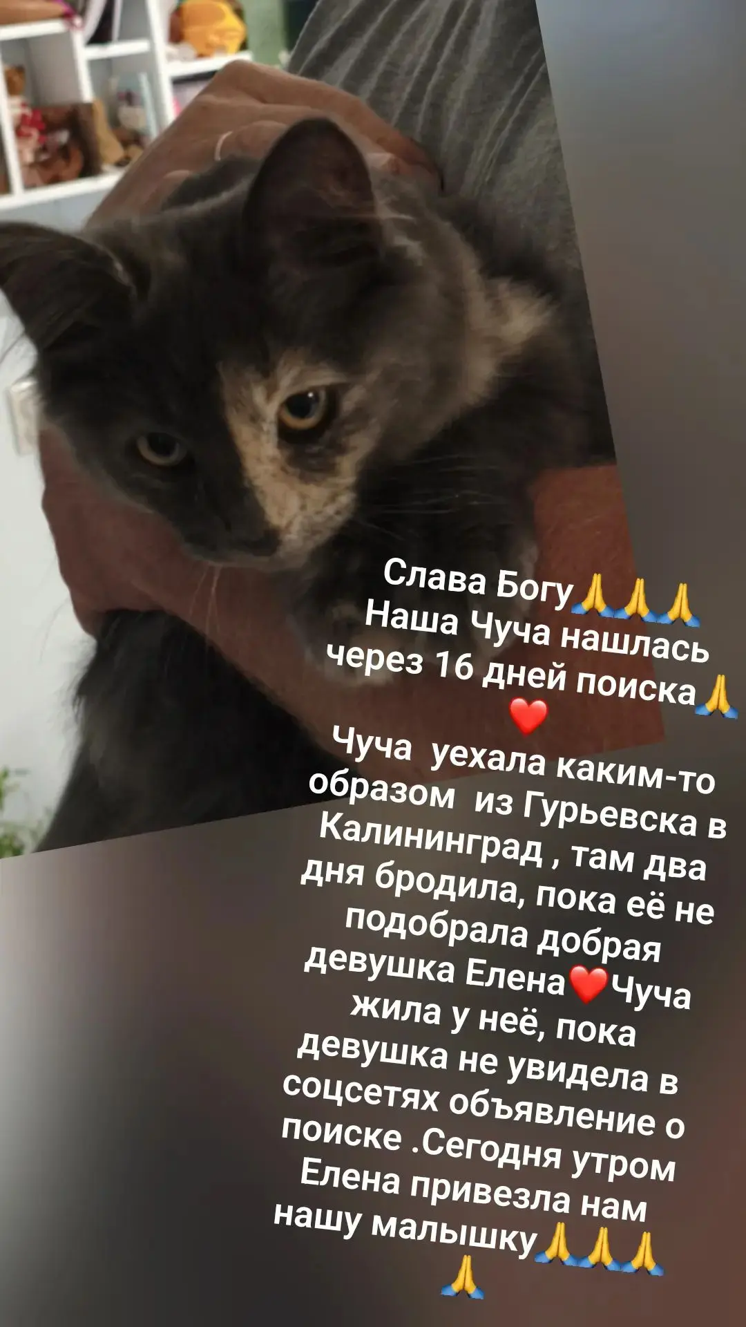 Друзья! Не можем не поделиться радостью с вами🤗❤🎉