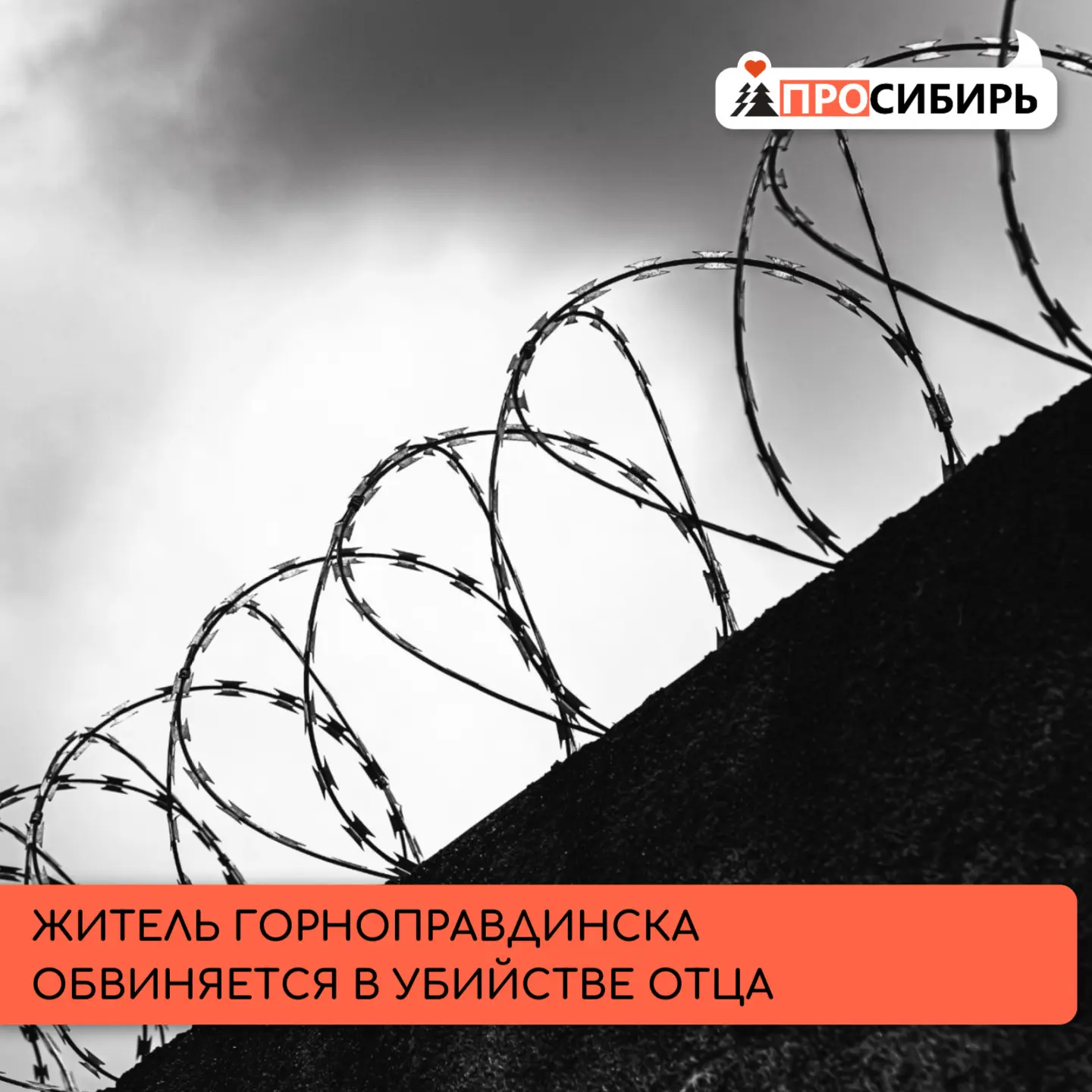 Следственные органы возбудили дело в отношении 42‑летнего жителя посёлка Горноправдинск...
