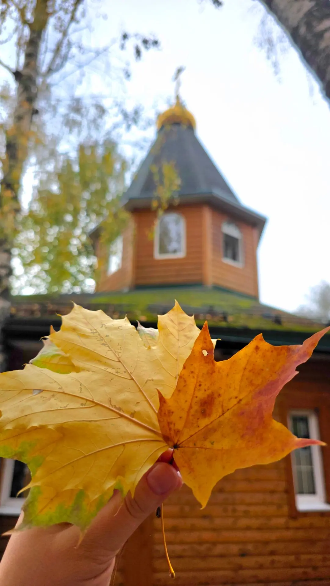 🍂13 октября