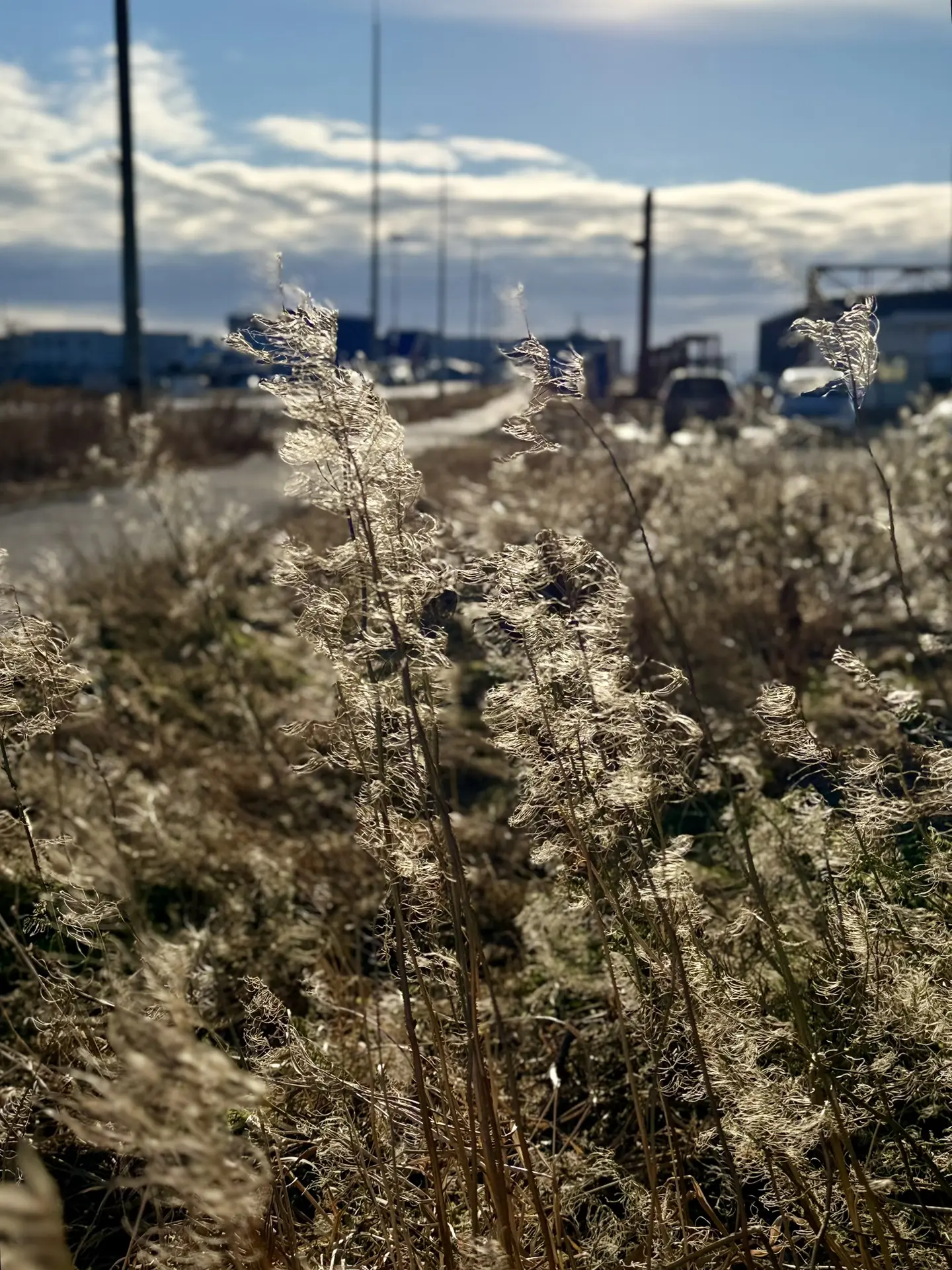 Кто бы знал,как же я не хочу зиму🥶….и дело тут даже не в самом времени года,а в длител...