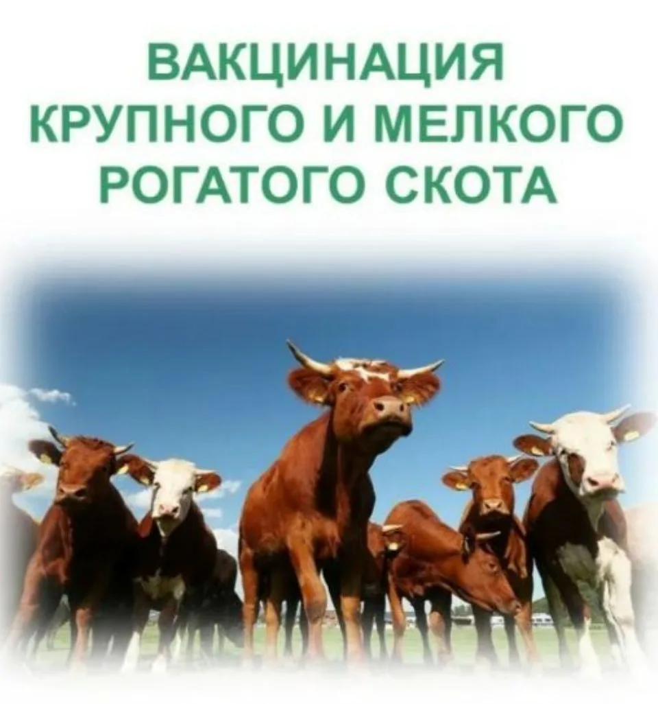 Вниманию владельцев животных!