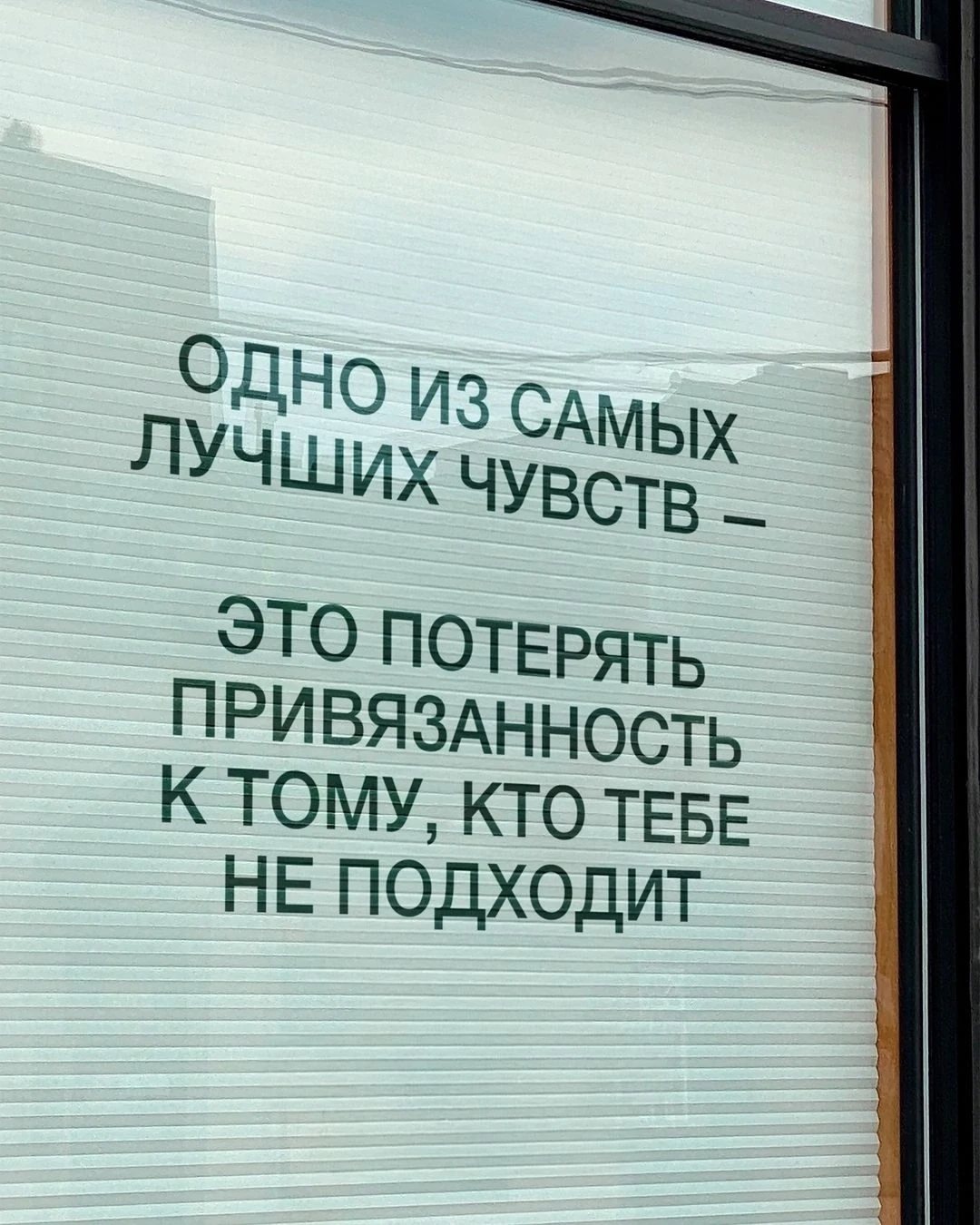 Терапевтичные фразы с ёмким смыслом