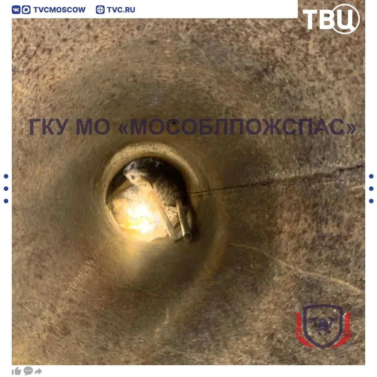 Спасатели достали котенка, который провалился в трубу