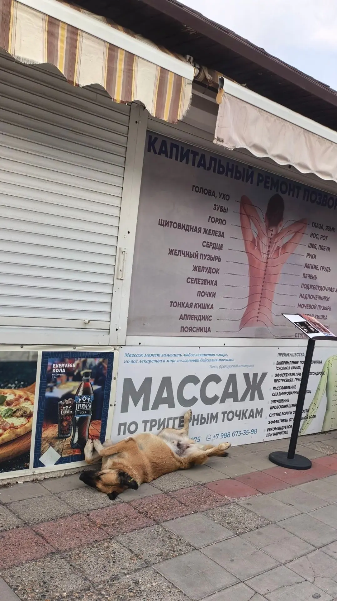 «В предвкушении 😊»...