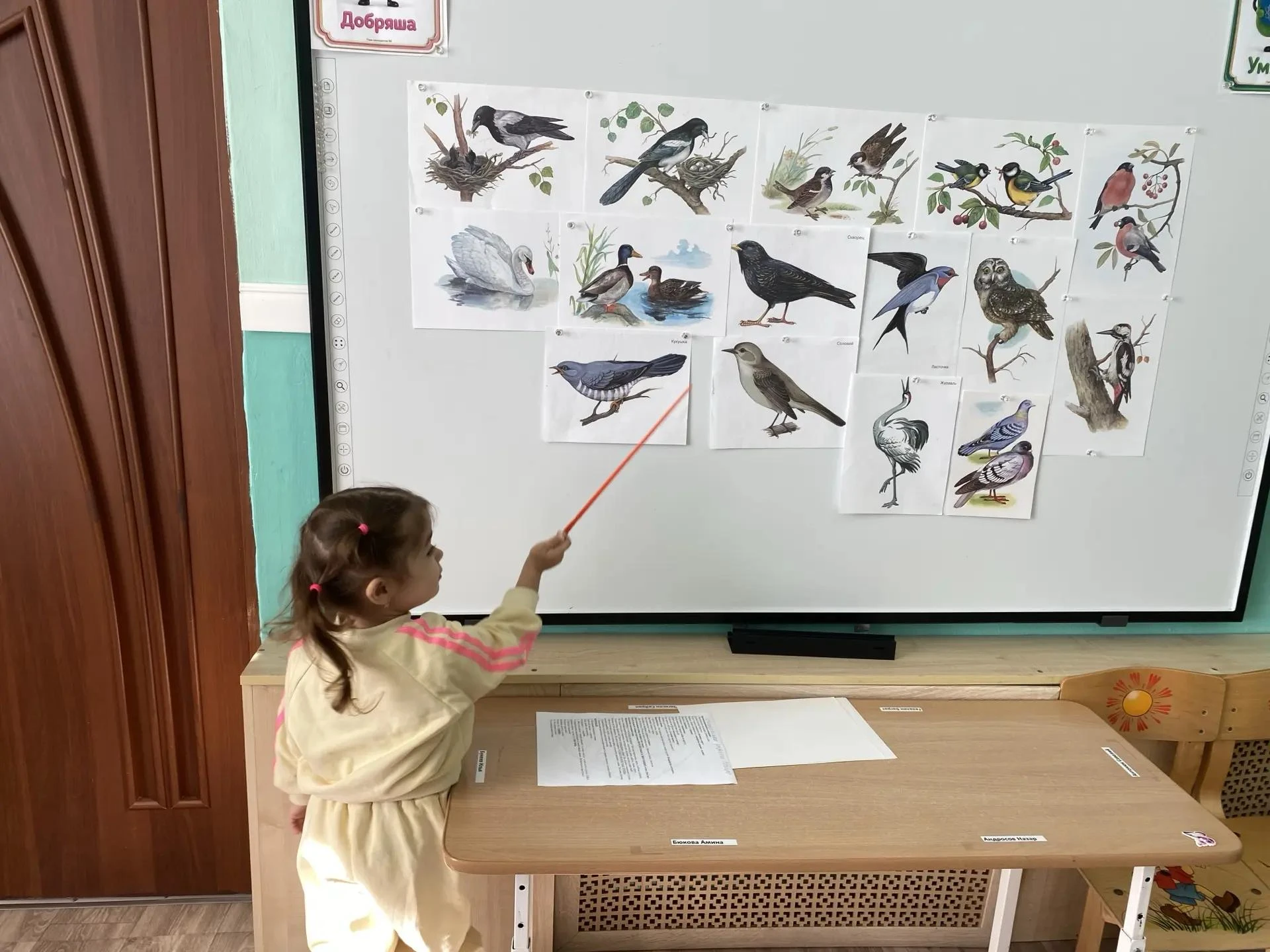 🐦 Тема недели: «Птицы»!