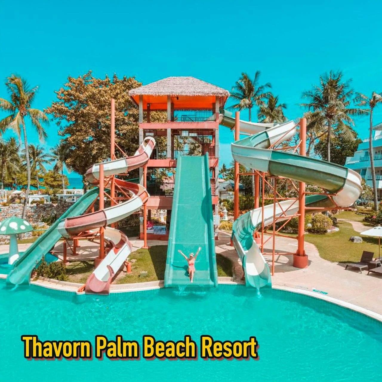 🌴️️️️️️ПХУКЕТ