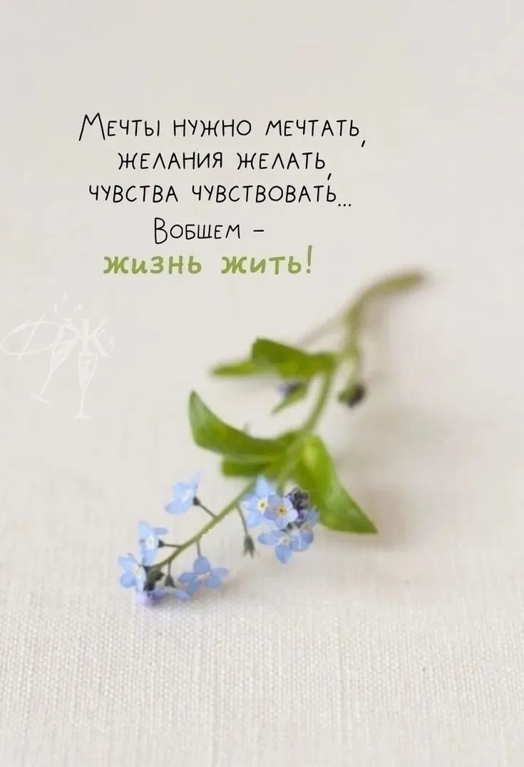 Доброе утро!