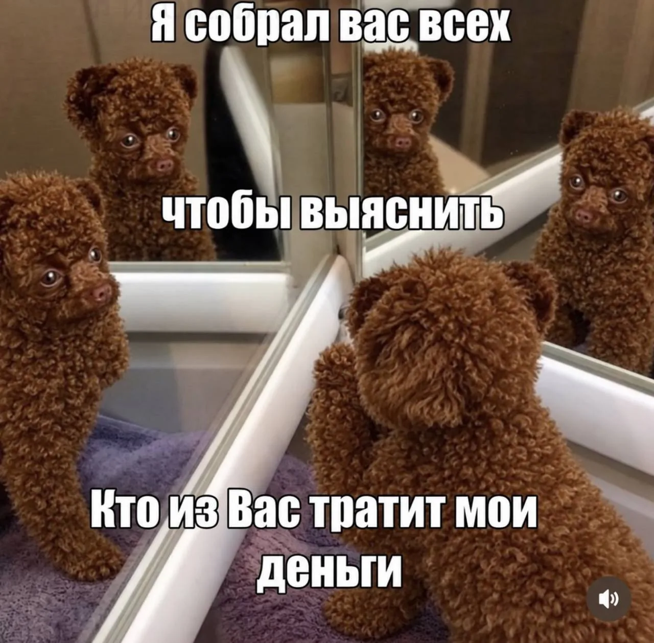 Признавайтесь, что купили на этой неделе?