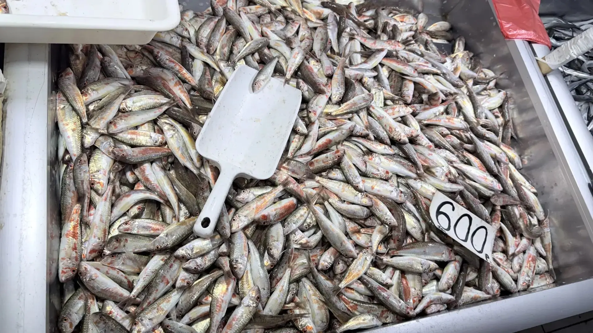 🐠 Почём рыбка? Обзор цен в рыбном корпусе Керчи