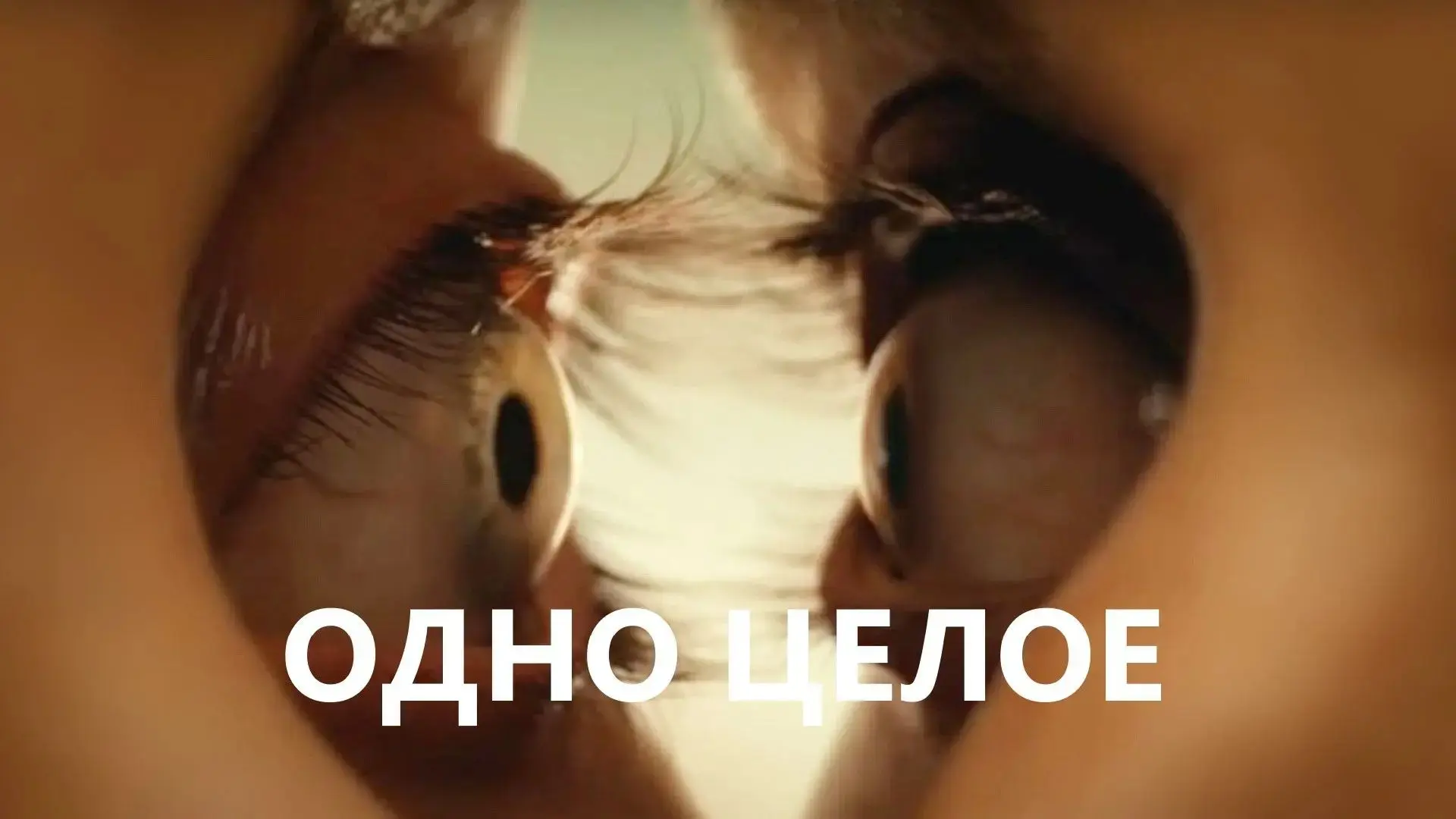 Одно целое