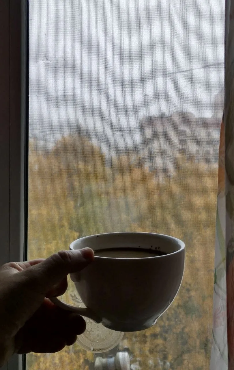 Туманное утро в Долгопрудном 🌫️