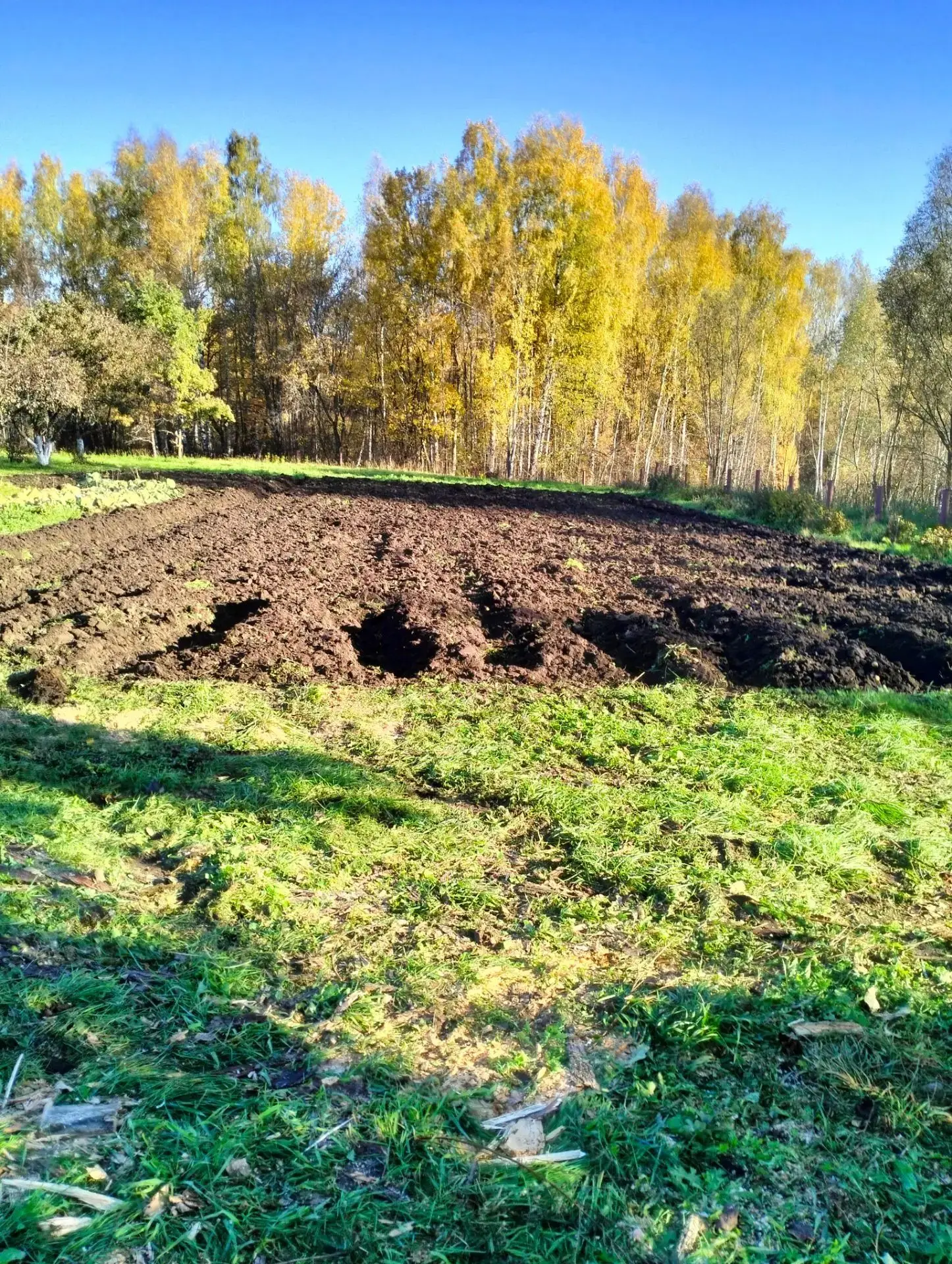 Осень. Огород. Хозяйство Яранских из деревни Вурманкас-Асламасы.