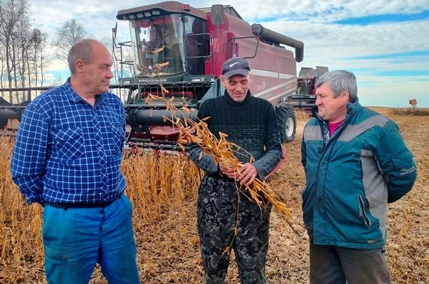 В хозяйствах Мокшанского района идёт массовая уборка главной бобовой культуры – сои. В ...