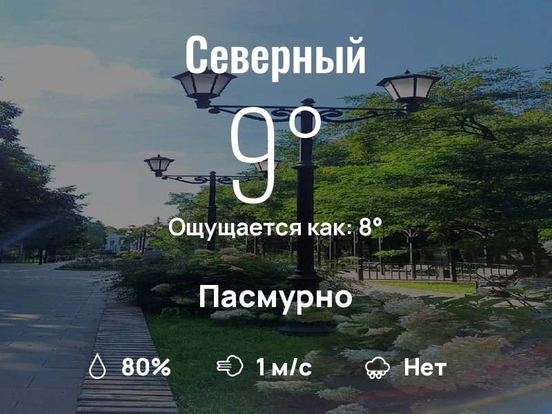 Что с погодой в Северном?