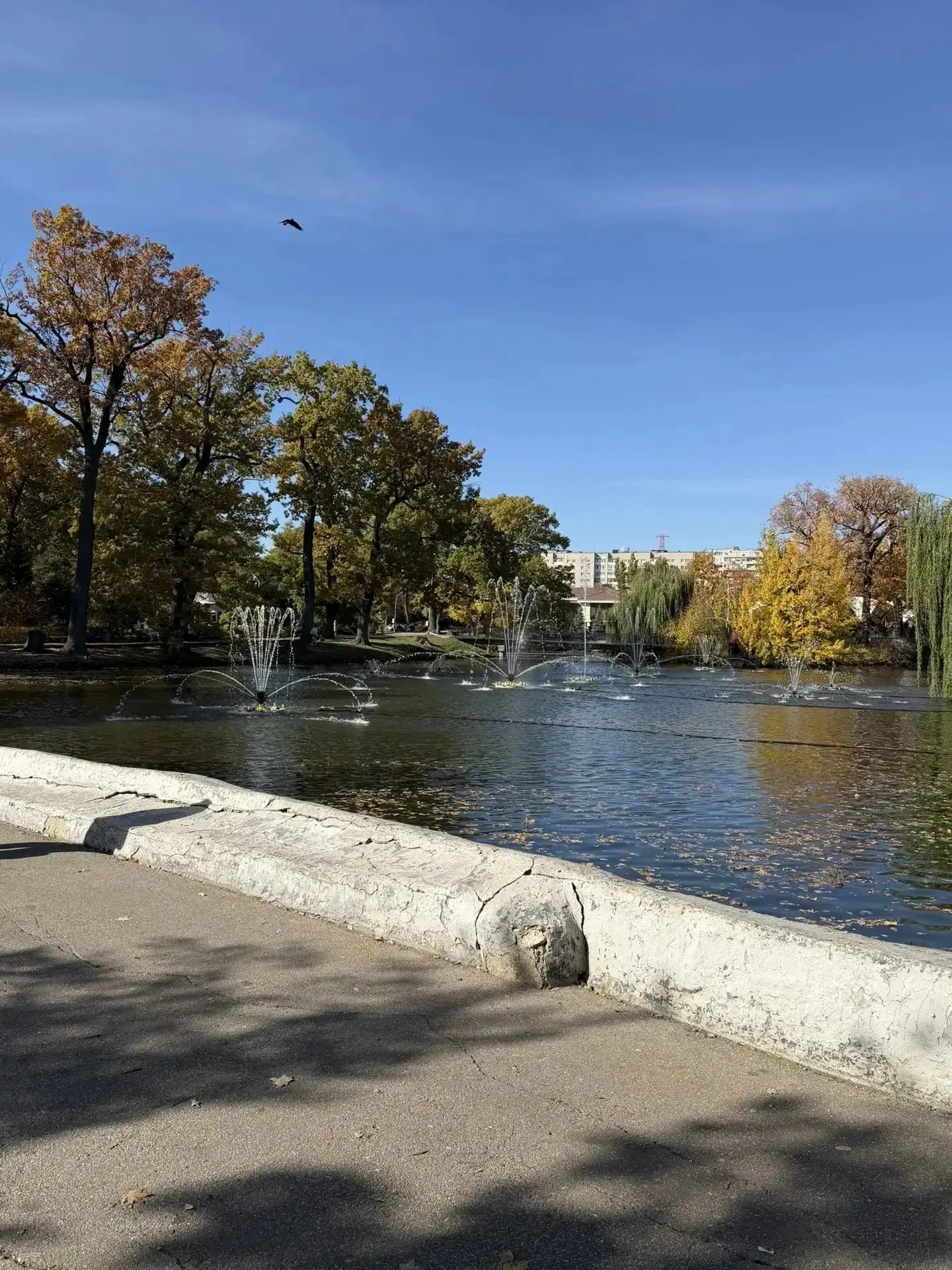 Саратовский горпарк. Плавучий фонтан запущен в тестовом режиме.