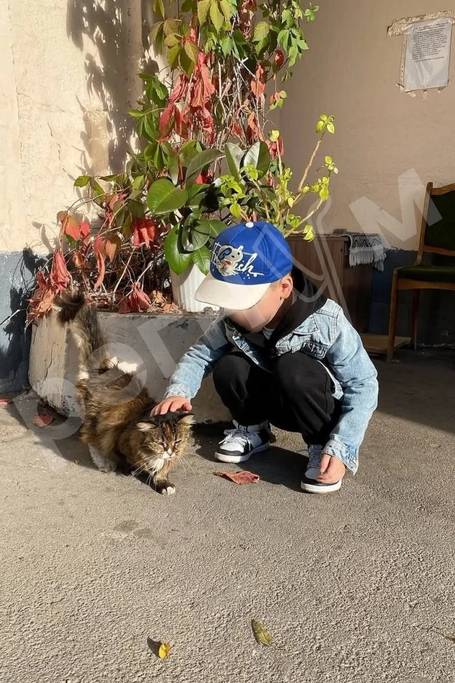 В Москве пожарные спасли из огня и реанимировали 17-летнюю кошку