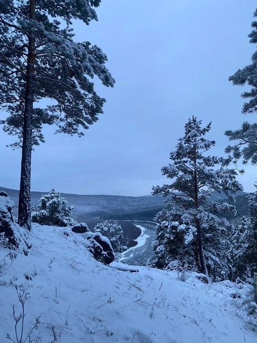 Сухотино ❄️