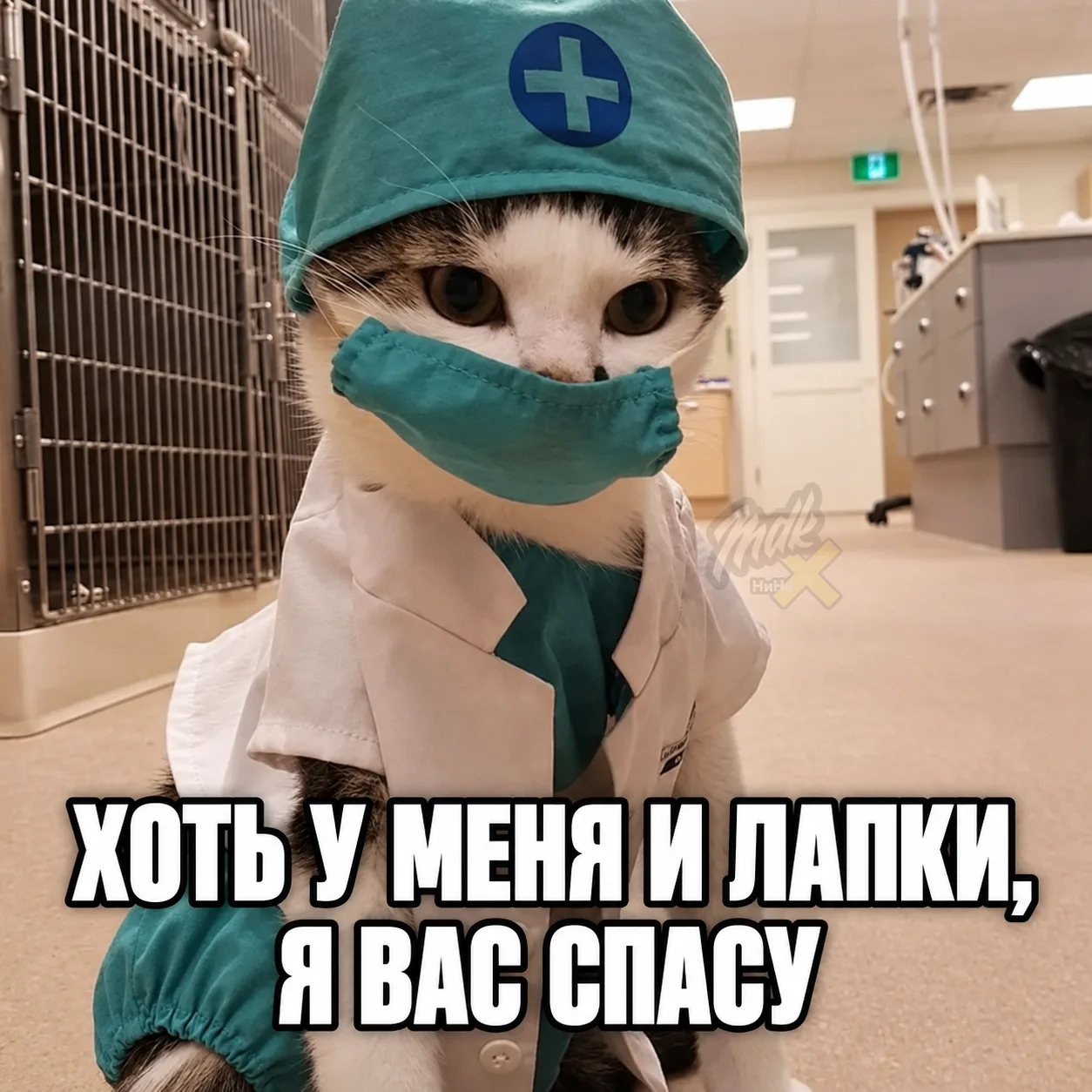 👨‍⚕️Нижегородские врачи спасли бабушку от отказа почек